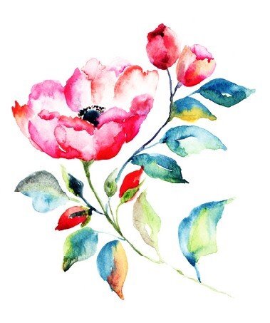 Rosehip Flower, Watercolor painting
